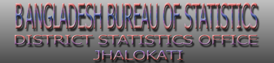 জেলা পরিসংখ্যান কার্যালয়