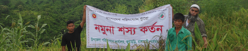 নমুনা শস্য কর্তন