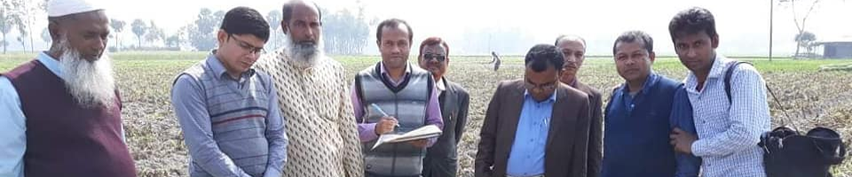 আলু কর্তন কালাই