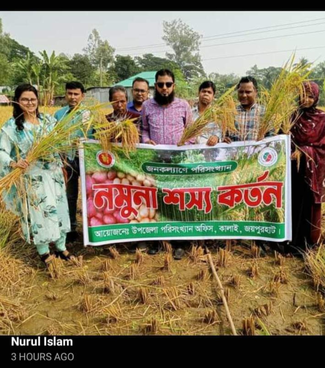 ধান কর্তন, কালাই