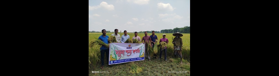 শস্য কর্তন