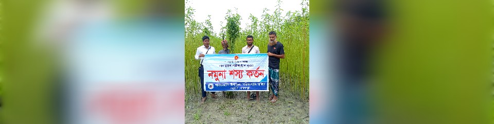 ব্যানার