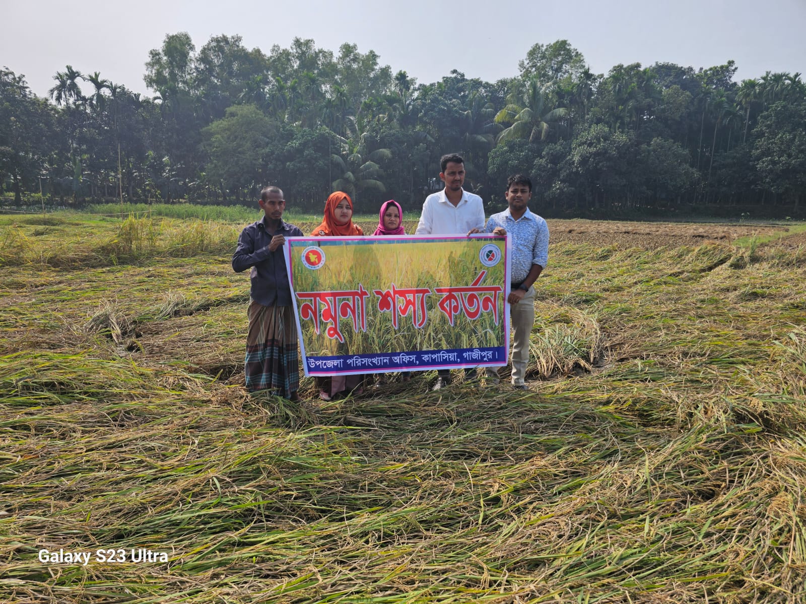 আমন নমুনা শস্য কর্তন ২০২৩