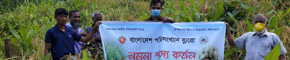 আমন কর্তন