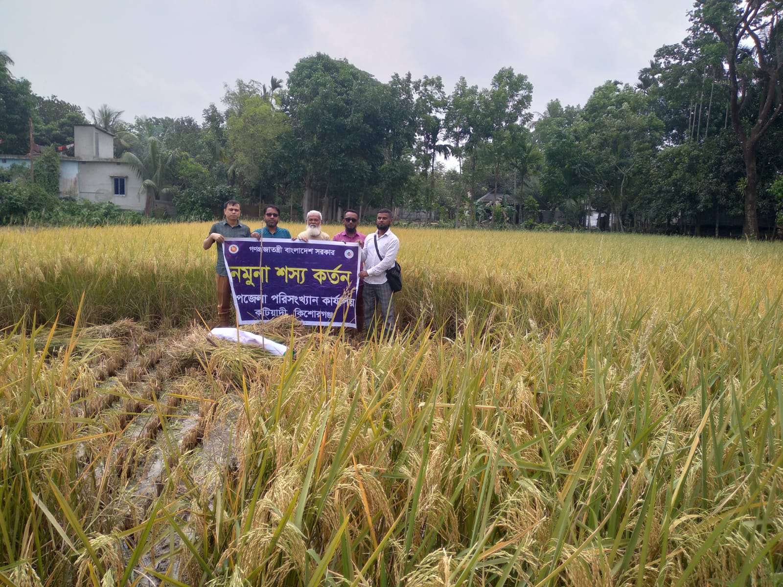 ব্যানার