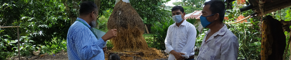 জনশুমারি ও গৃহ গণনা - ২০১১ এর মূল প্রশ্নপত্রের প্রি-টেস্টিং