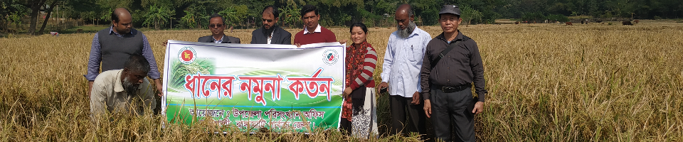 নমুনা শষ্য কর্তন