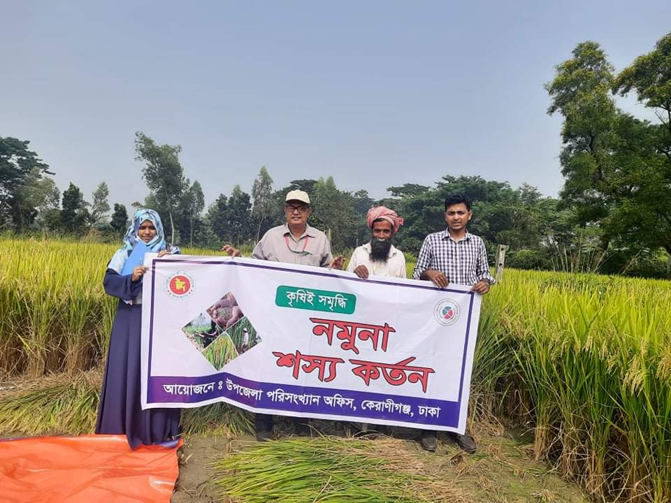 নমুনা ফসল কর্তন