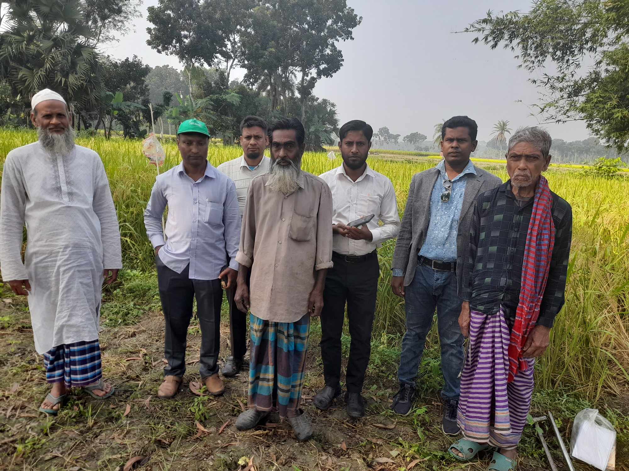 আমন ধান কর্তন /২৩