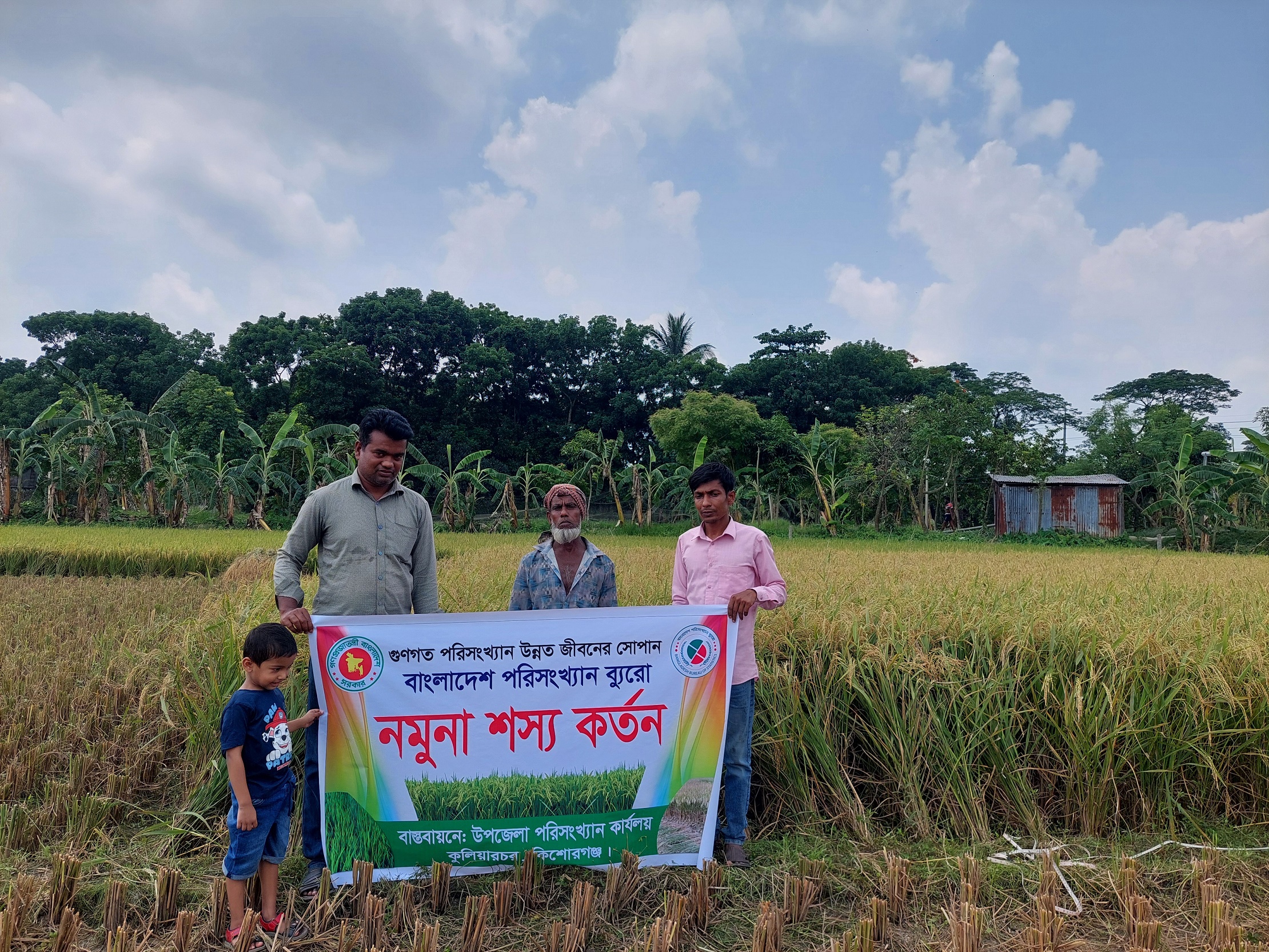 নমুনা শস্য কর্তন 4