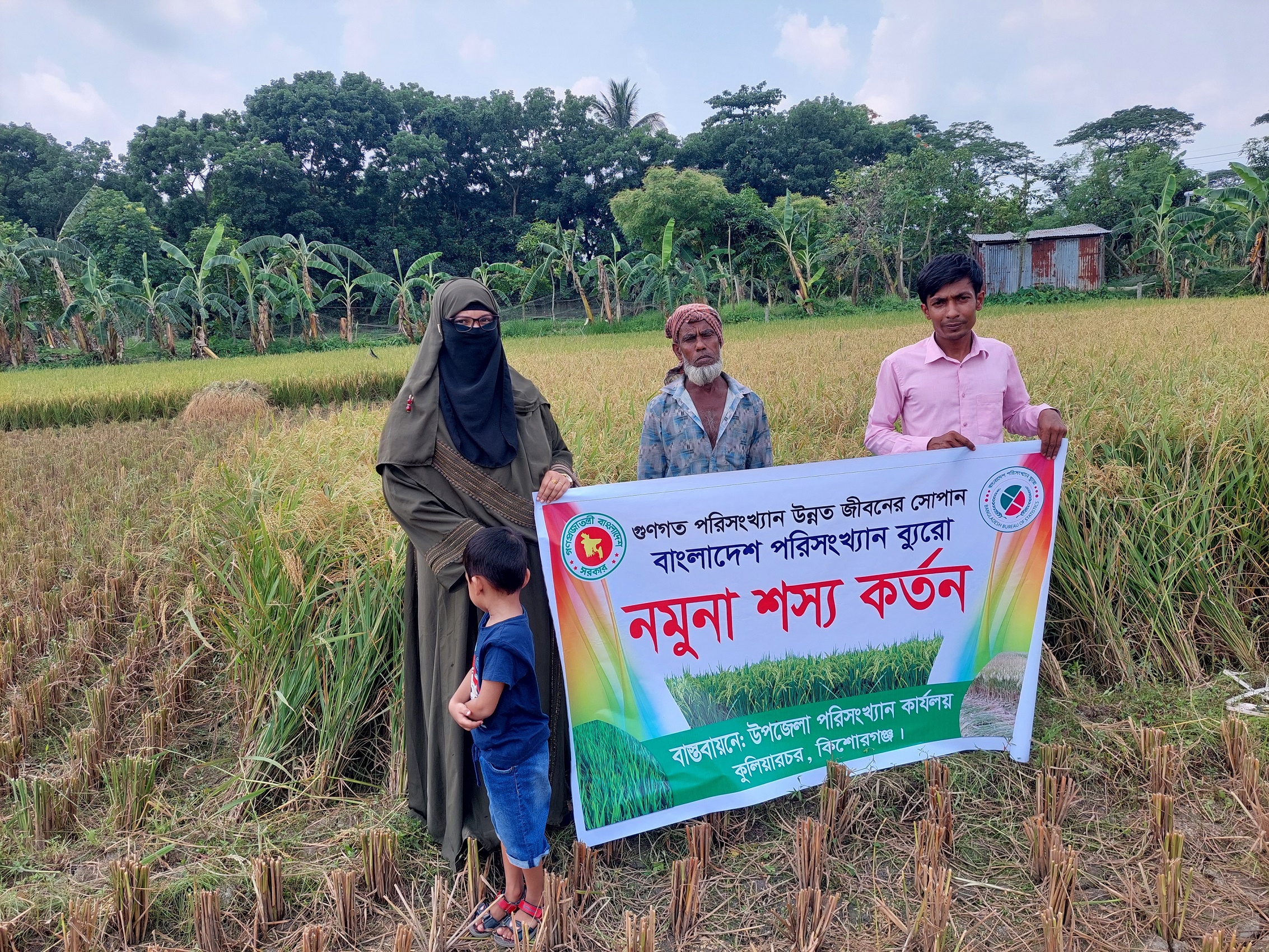 নমুনা শস্য কর্তন