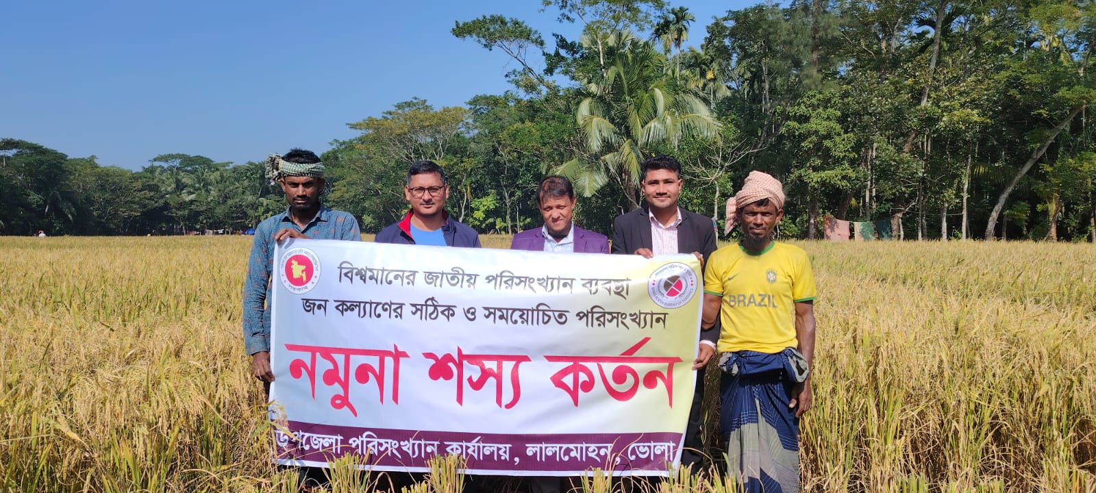 উপজেলা পরিসংখ্যান অফিস ও উপজেলা কৃষি অফিস কর্তৃক যৌথভাবে উফশী আমন ফসলের নমুনা কর্তনের চিত্র।