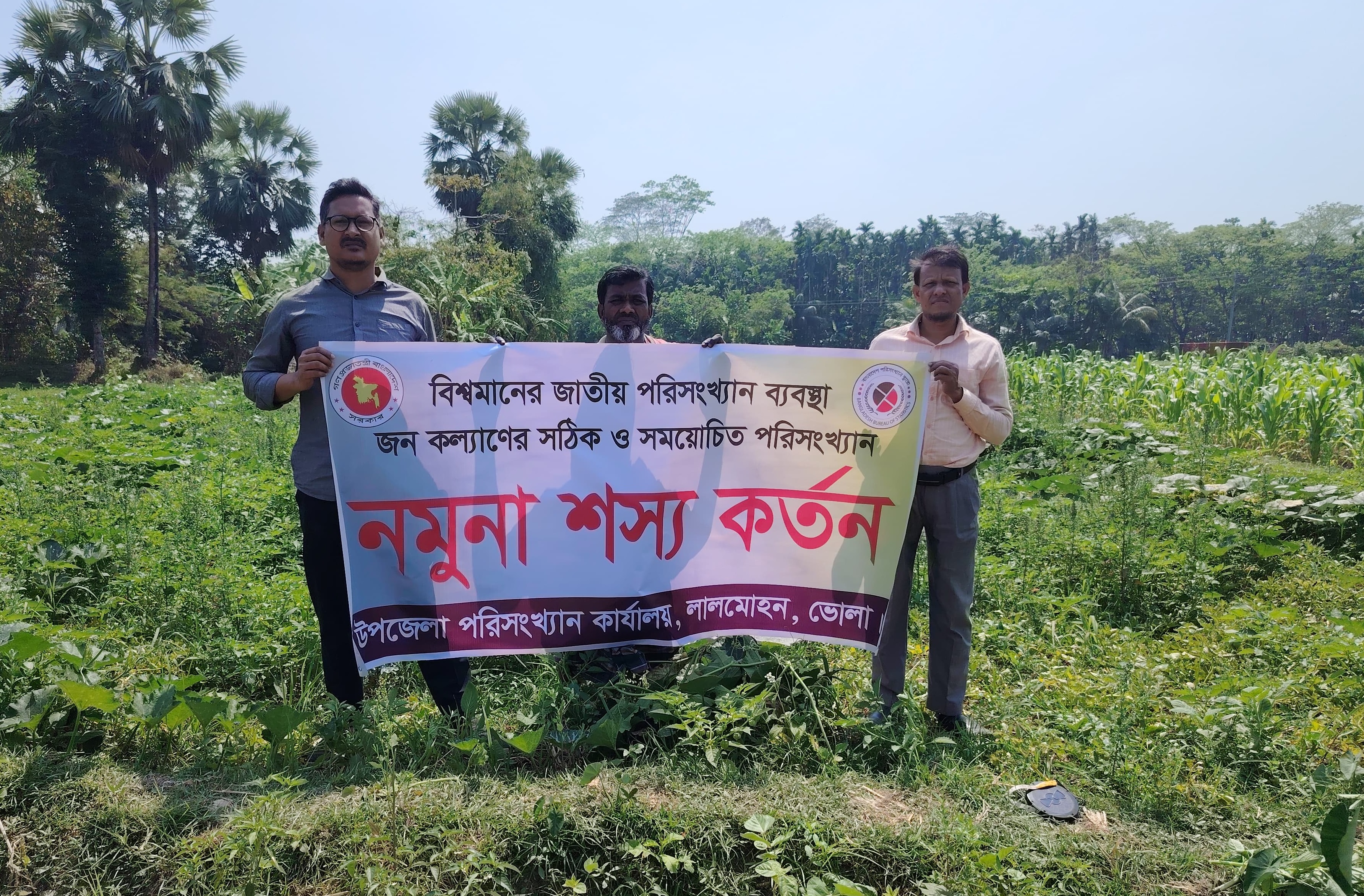উপজেলা পরিসংখ্যান অফিস ও উপজেলা কৃষি অফিস কর্তৃক যৌথভাবে উফশী আলু ফসলের নমুনা কর্তনের চিত্র।