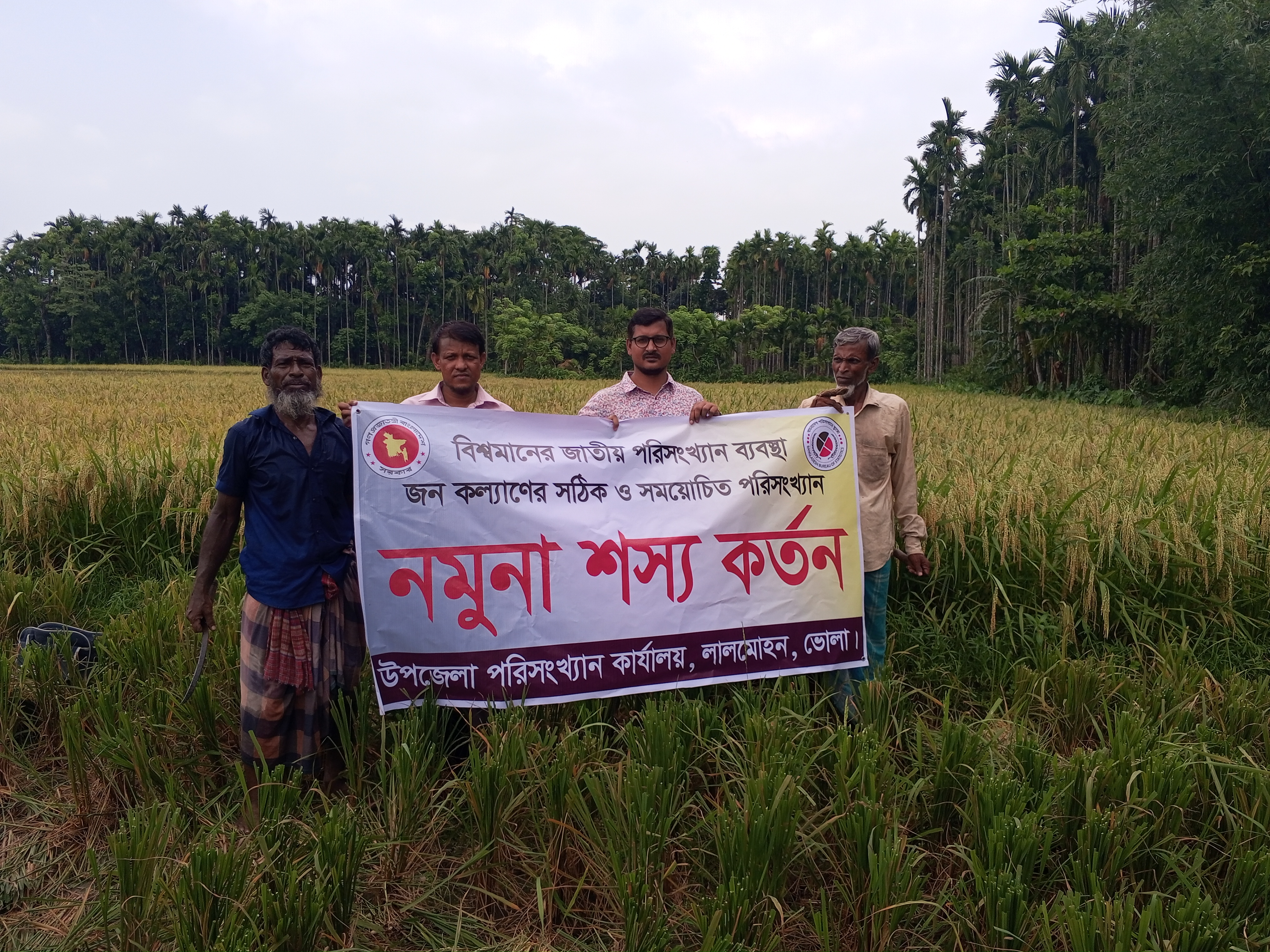 উপজেলা পরিসংখ্যান অফিস ও উপজেলা কৃষি অফিস কর্তৃক যৌথভাবে উফশী বোরো ফসলের নমুনা কর্তনের চিত্র।