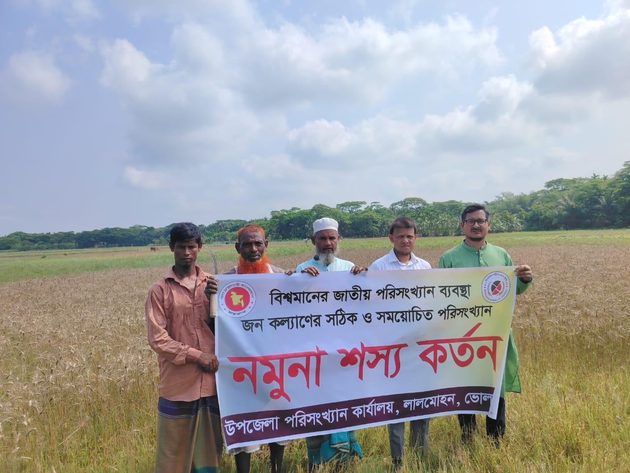 উপজেলা পরিসংখ্যান অফিস ও উপজেলা কৃষি অফিস কর্তৃক যৌথভাবে উফশী গম ফসলের নমুনা কর্তনের চিত্র।