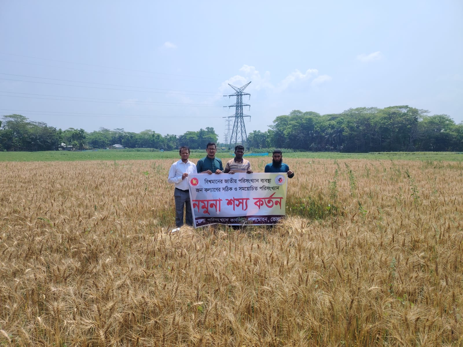 উপজেলা পরিসংখ্যান অফিস ও উপজেলা কৃষি অফিস কর্তৃক যৌথভাবে গম ফসলের নমুনা কর্তনের চিত্র।