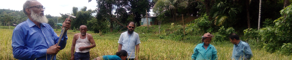 উপ পরিচালক মহোদয়ের আউশ ফসল কর্তন ২০২০শে অংশগ্রহণ।