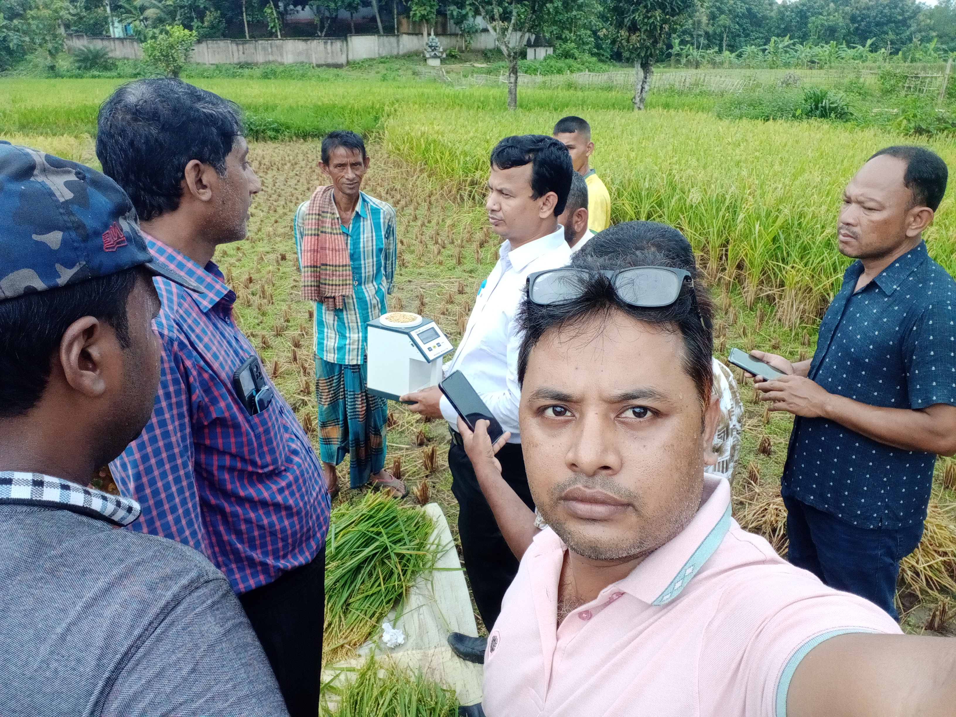 কাটিং