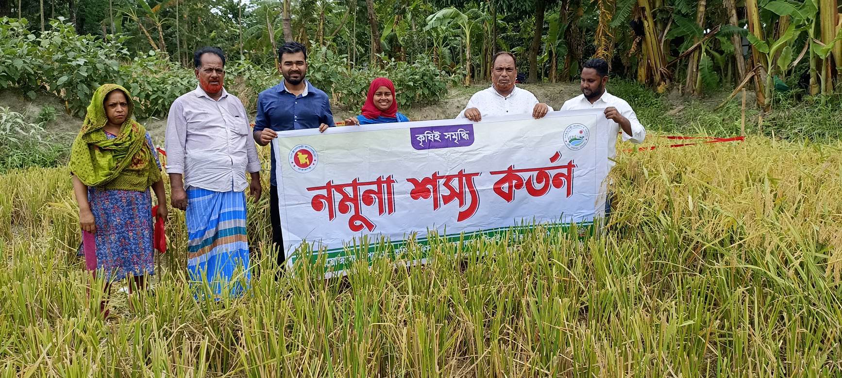 শস্য কর্তন