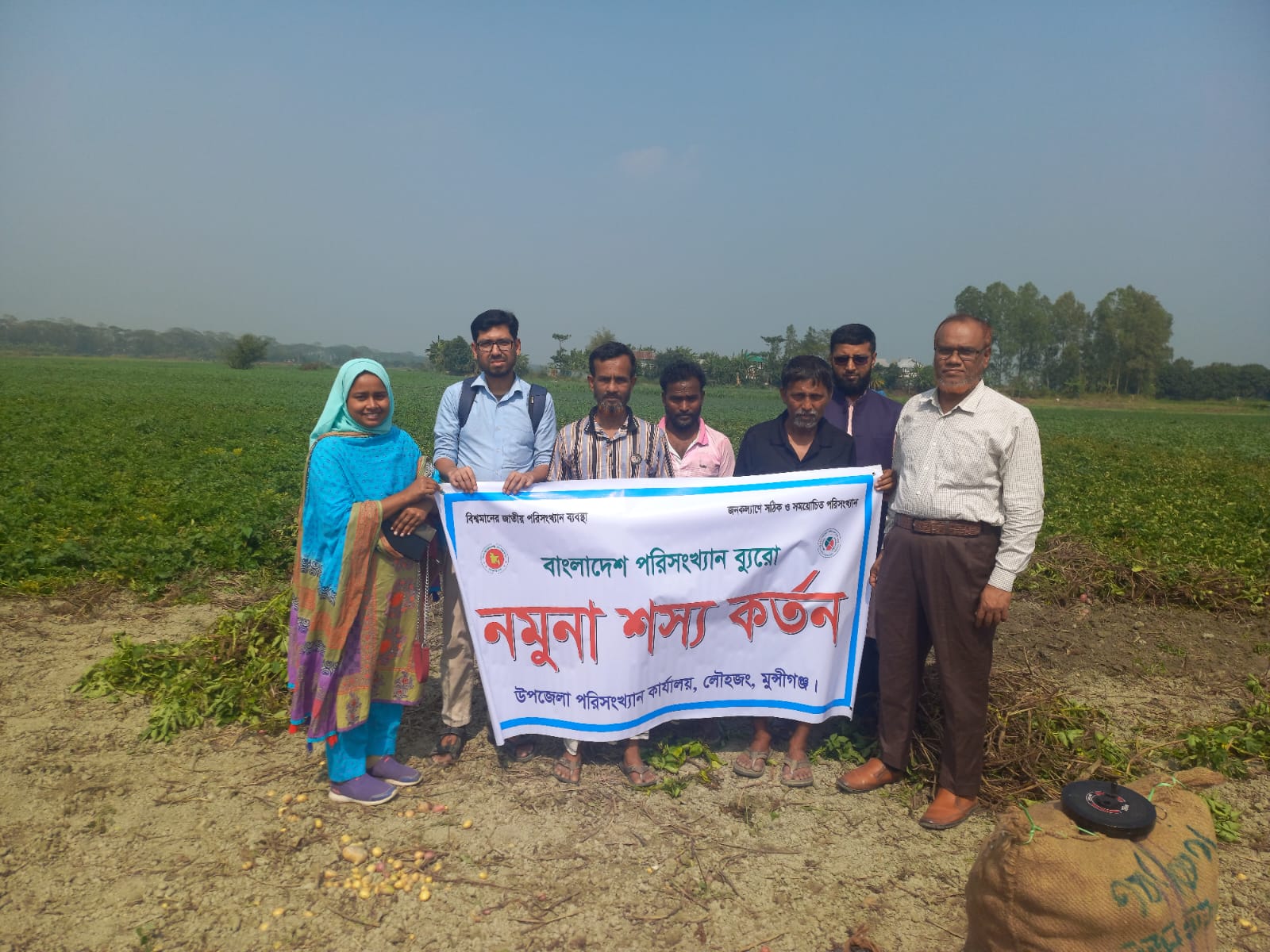 আলু শস্য কর্তন