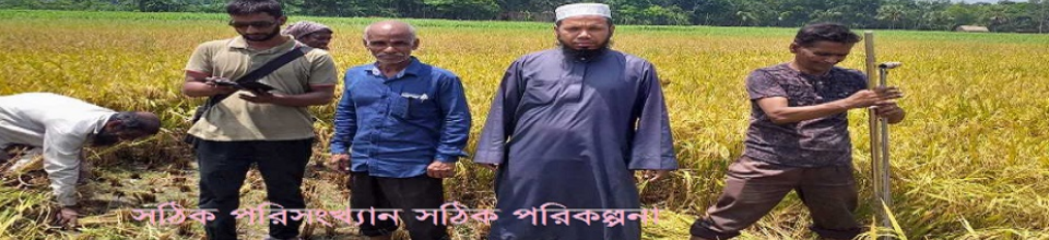 পিছলিয়া মৌজায় বোরো ফসল কর্তন