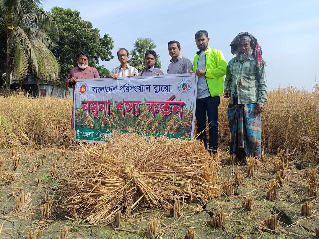 নমুনা শস্য কর্তন -২০২৪