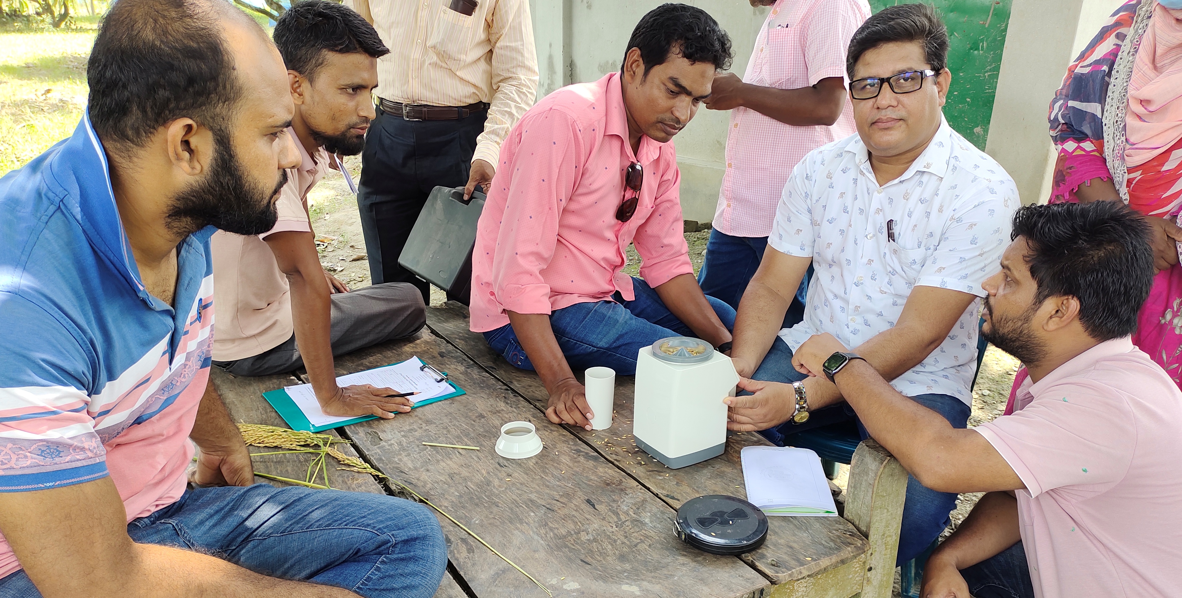 প্রবৃদ্ধি