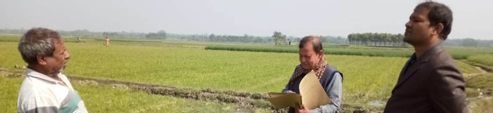 দাগগুচ্ছ পরিদর্শন