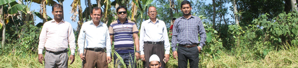মাঠ পর্যায়ে তথ্য সংগ্রহের জন্য বিভিন্ন এলাকা পরিদর্শন