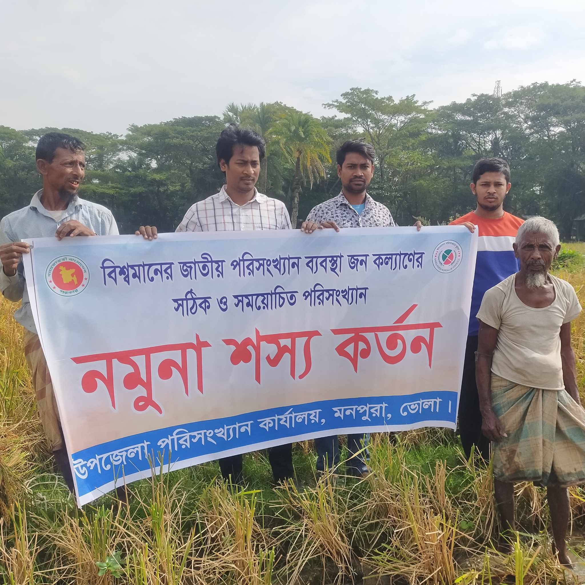 মনপুরা উপজেলা পরিসংখ্যান অফিস কর্তৃক শস্য কর্তন।