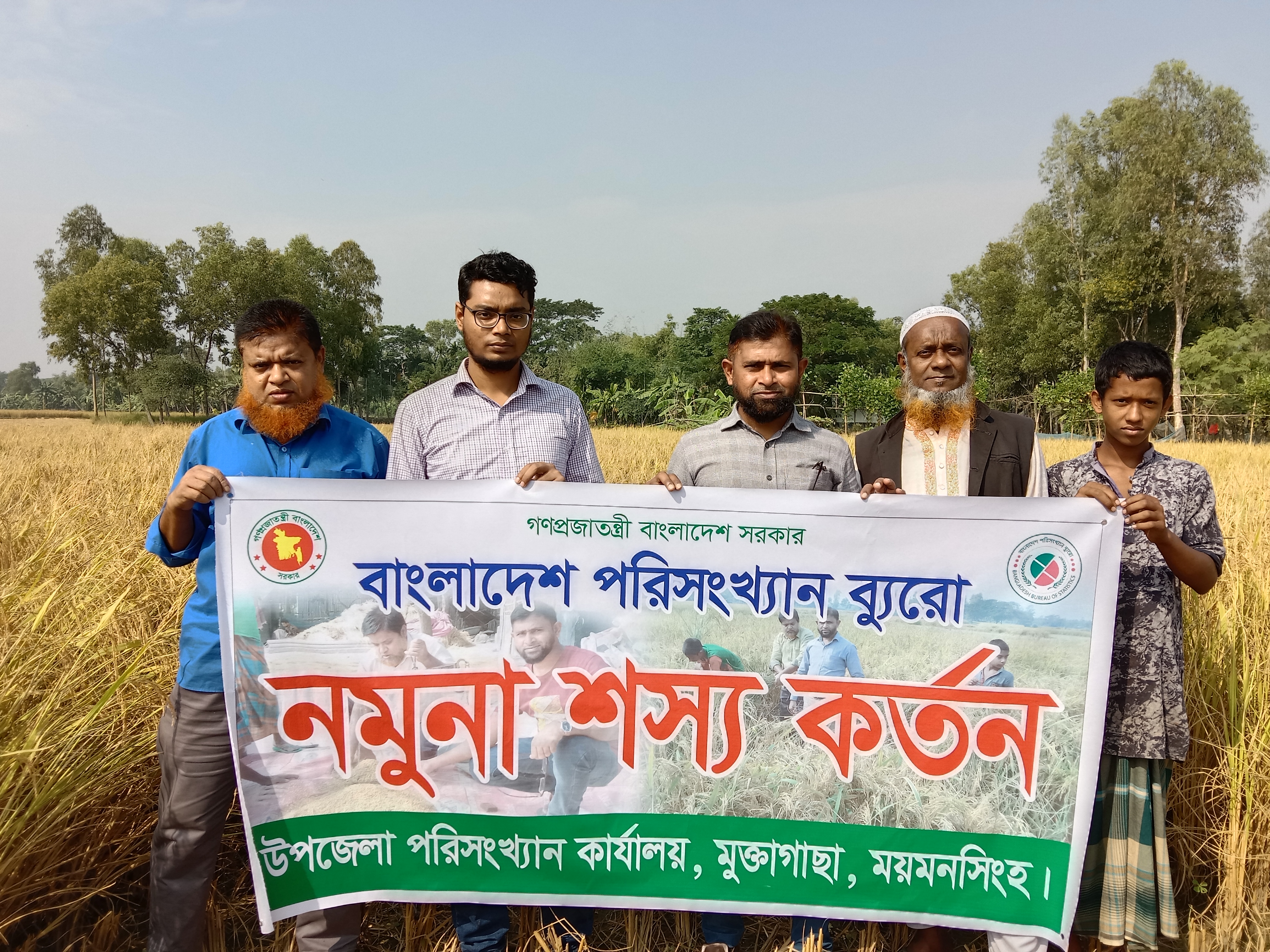 আমন ধানের নমুনা কর্তন-2021