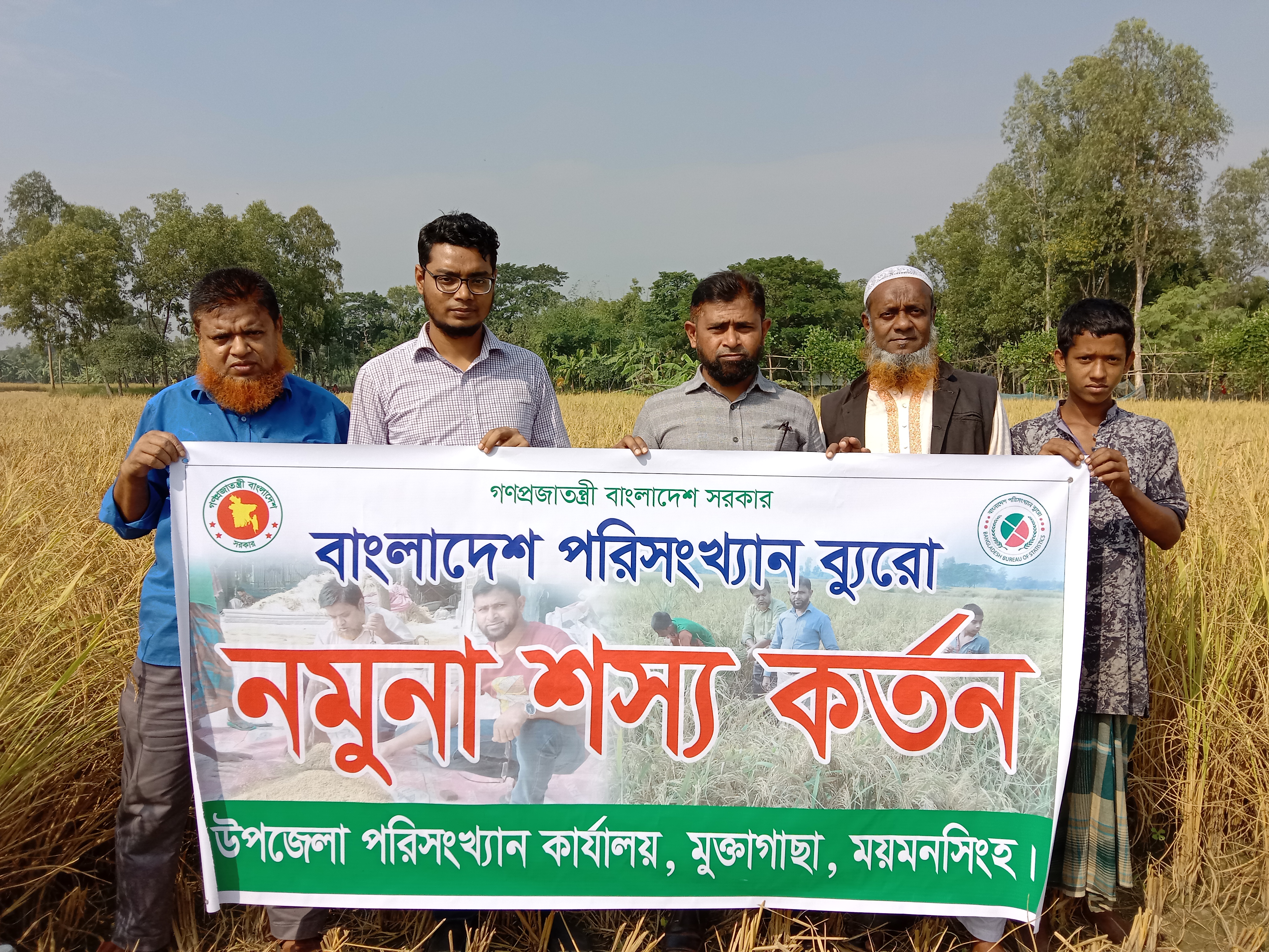 নমুনা শস্য কর্তন