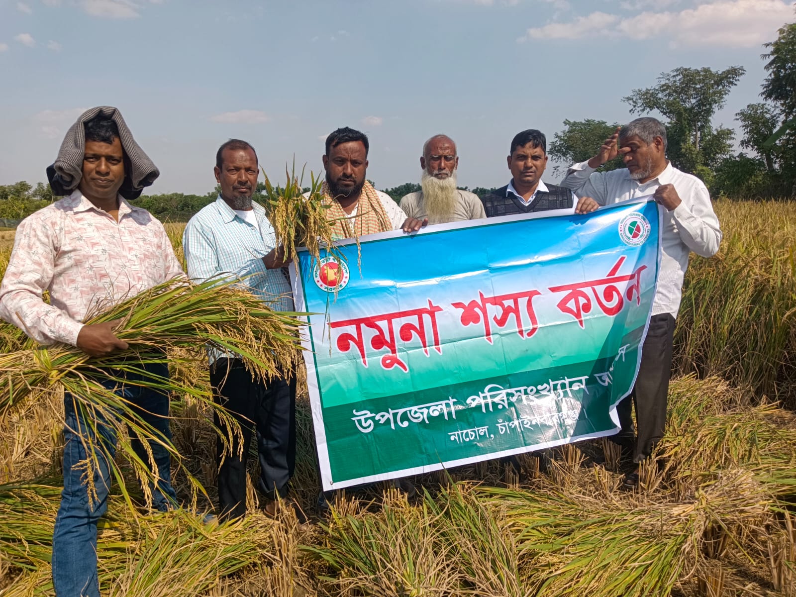 মাক্তাপুর মৌজায় আমন ধান কর্তন ২০২৫