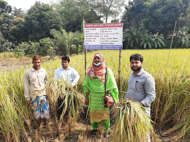 কাটিং
