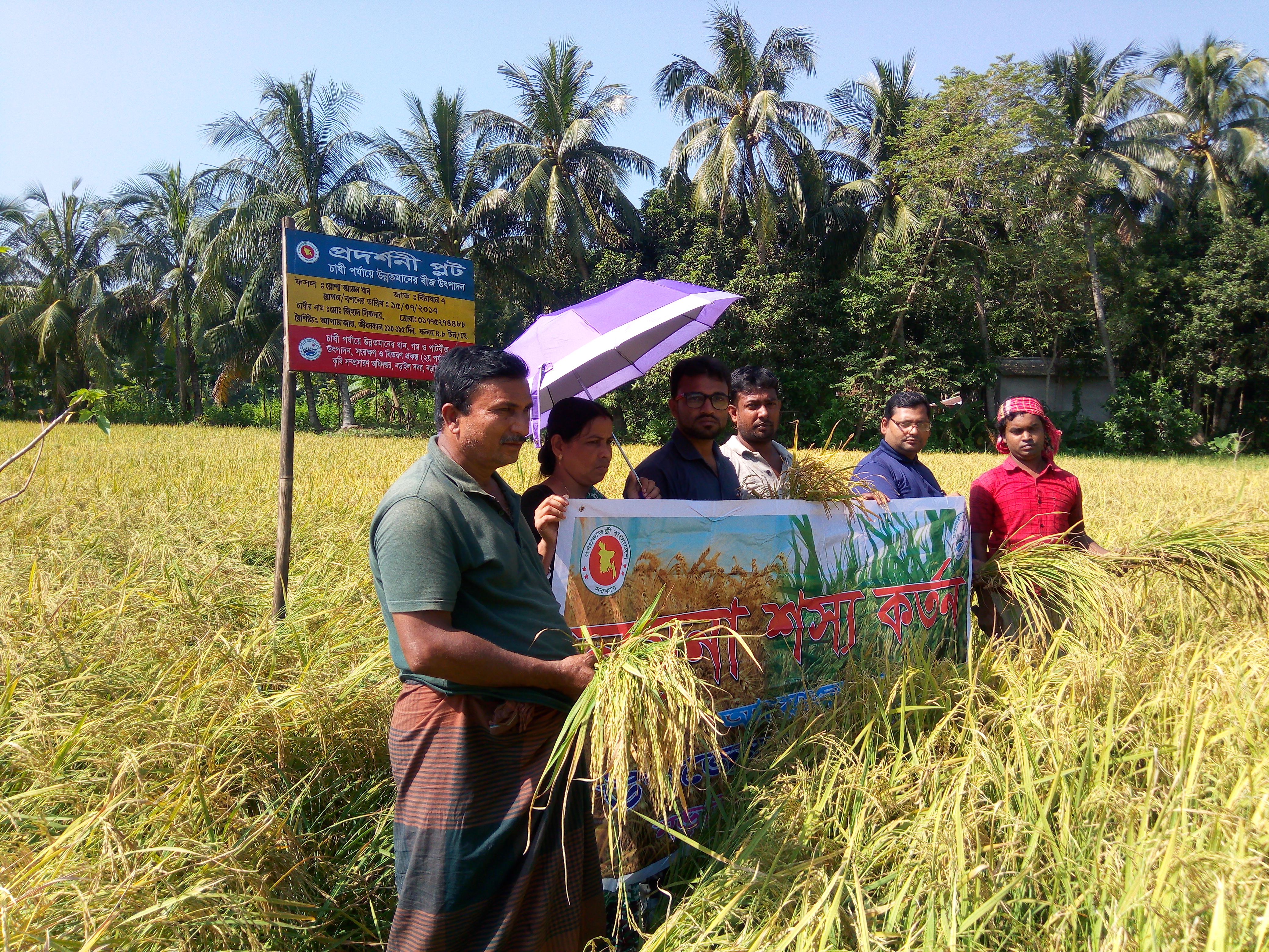 নমুনা ফসল (ধান) কর্তন