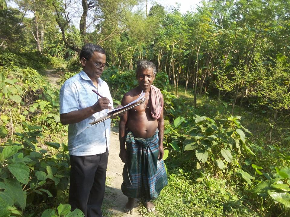 ক্লাস্টার পরিদর্শন