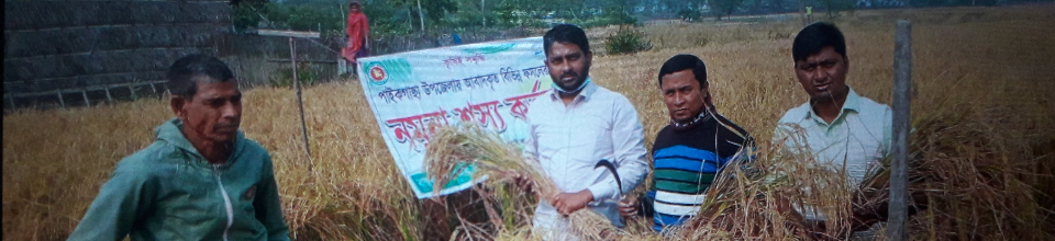 ফসল কর্তন