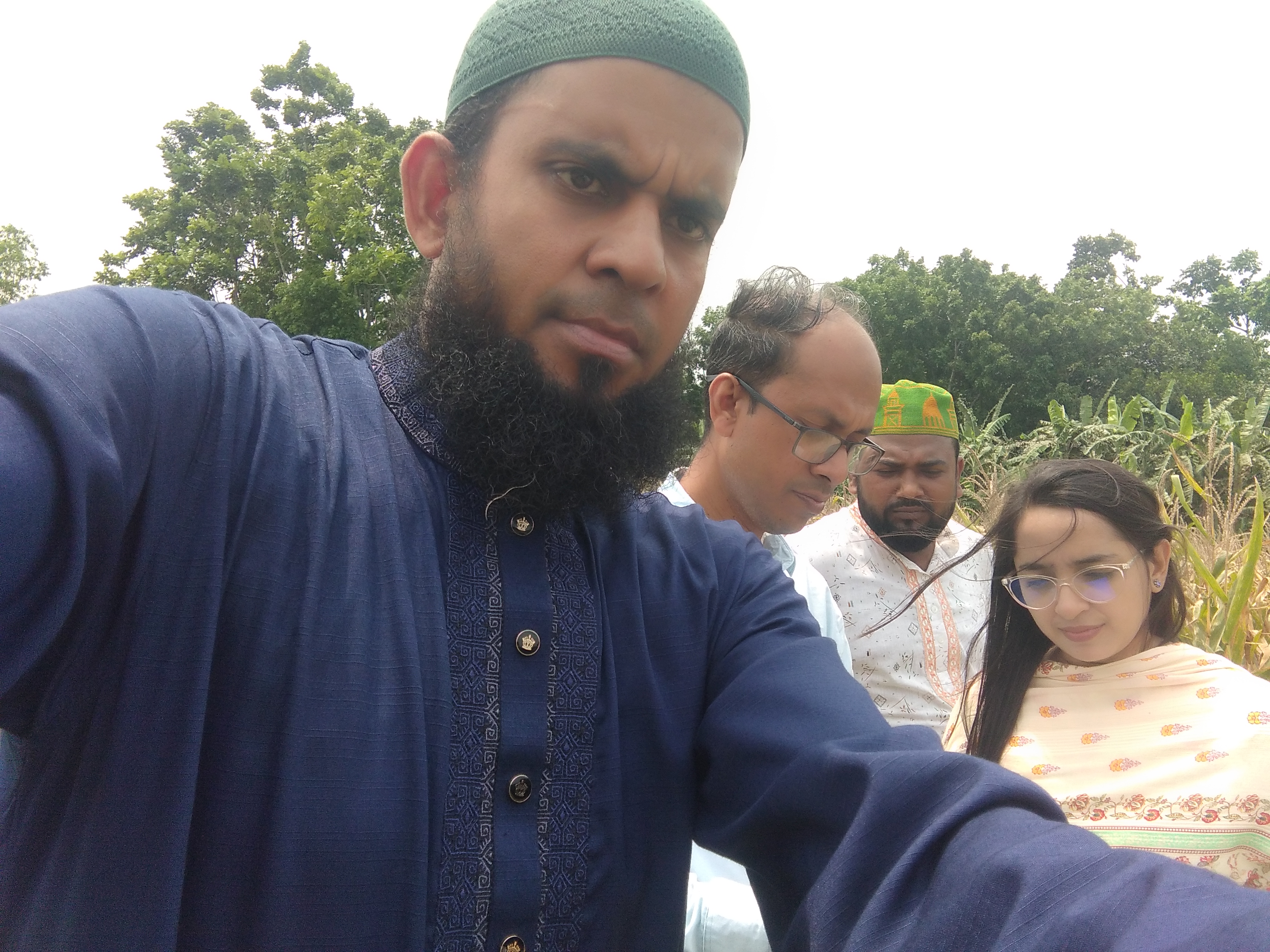 বোরো কর্তন চিত্র