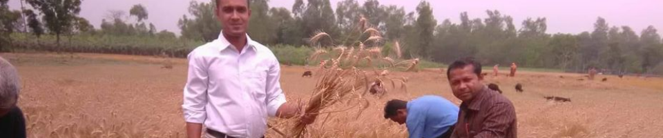 বিভিন্ন জরিপের ছবি