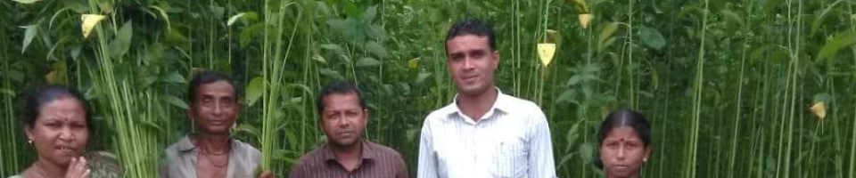 বিভিন্ন জরিপের ছবি