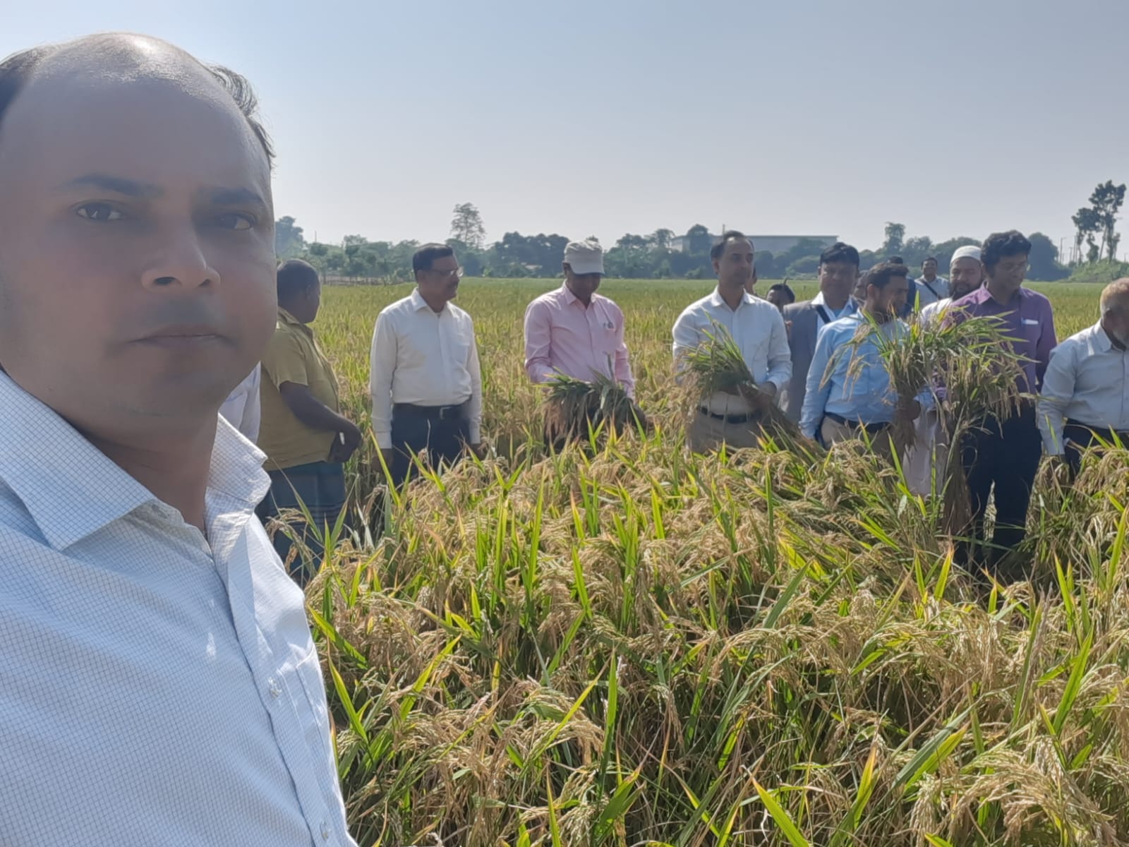 ধান কর্তন