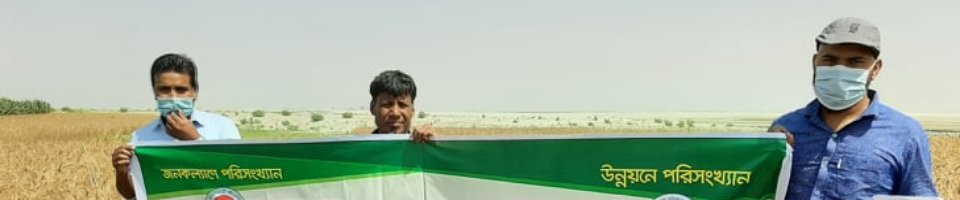 ফসল কর্তন