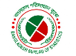 বিবিএস প্রকাশনা