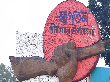 পীরগাছা পরিসংখ্যান