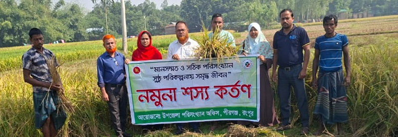 নমুনা শস্য কর্তন