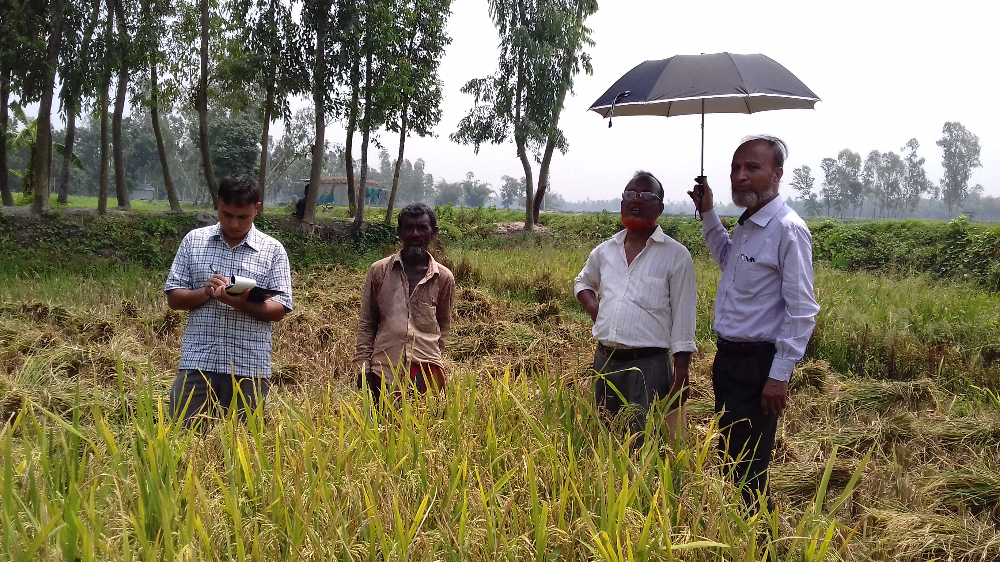 মাসিক কৃষি মজুরীর 