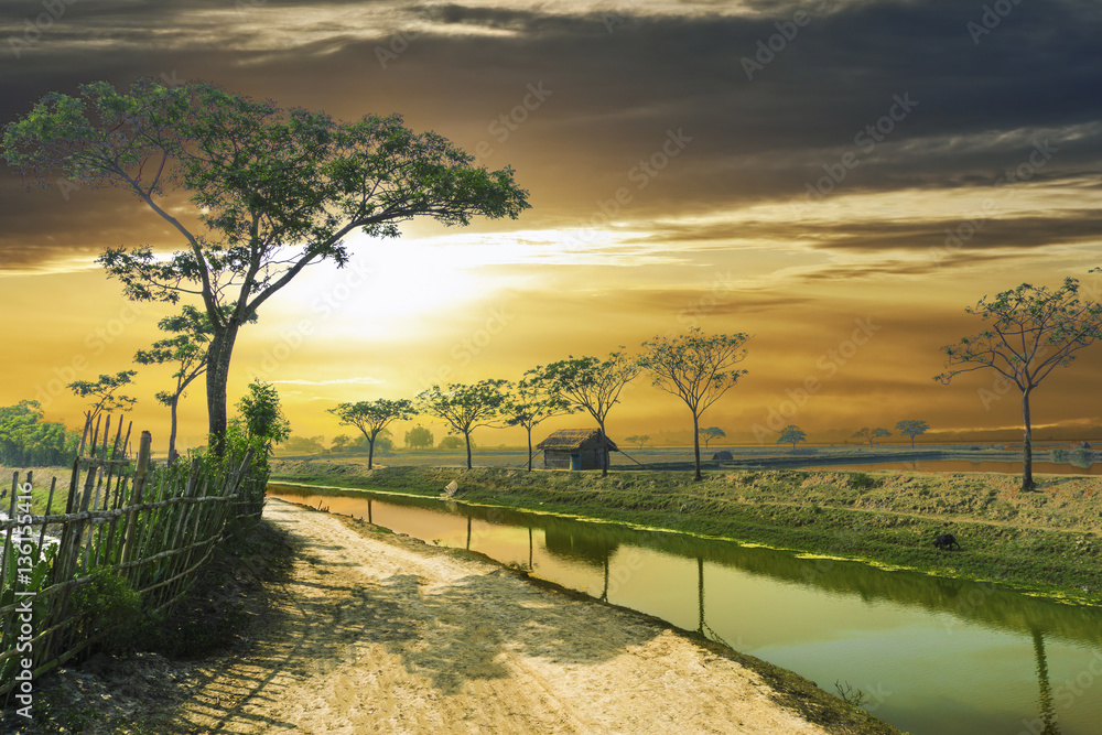 ব্যানার