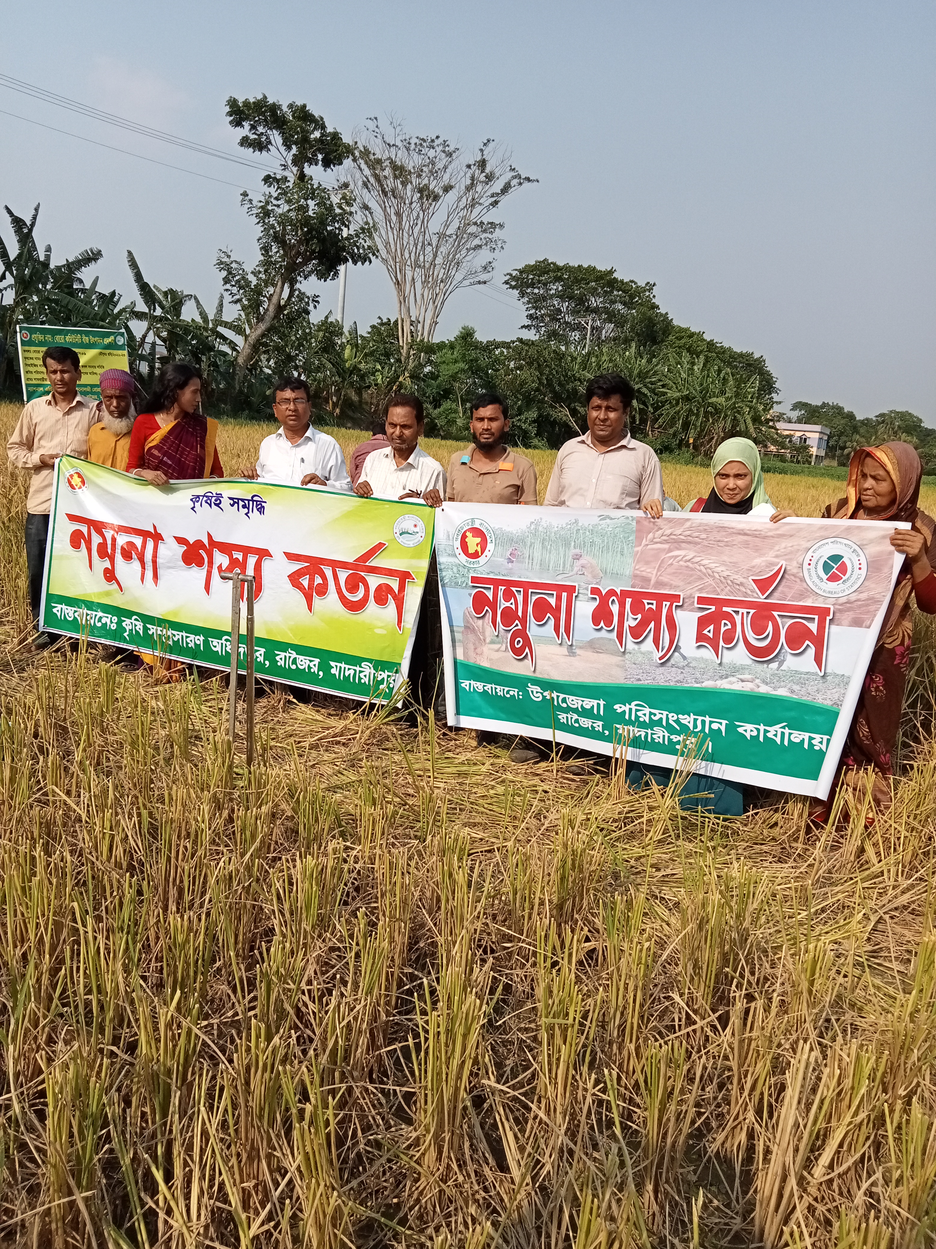 রাজৈর উপজেলা কৃষি অফিসের সাথে যৌথভাবে বোরো ফসলের নমুনা কর্তন