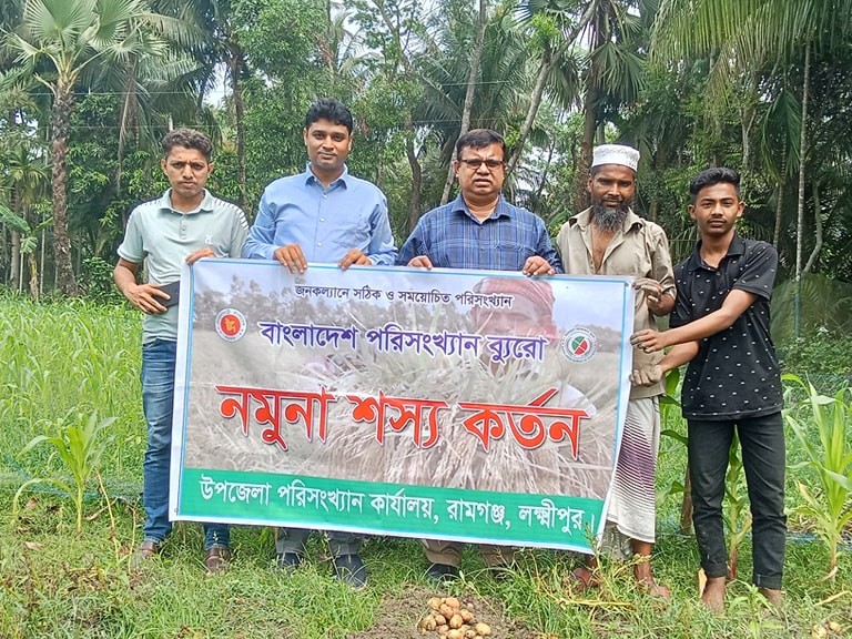 আলু কর্তন ১