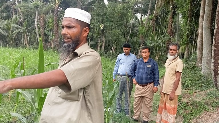 আলু কর্তন ২